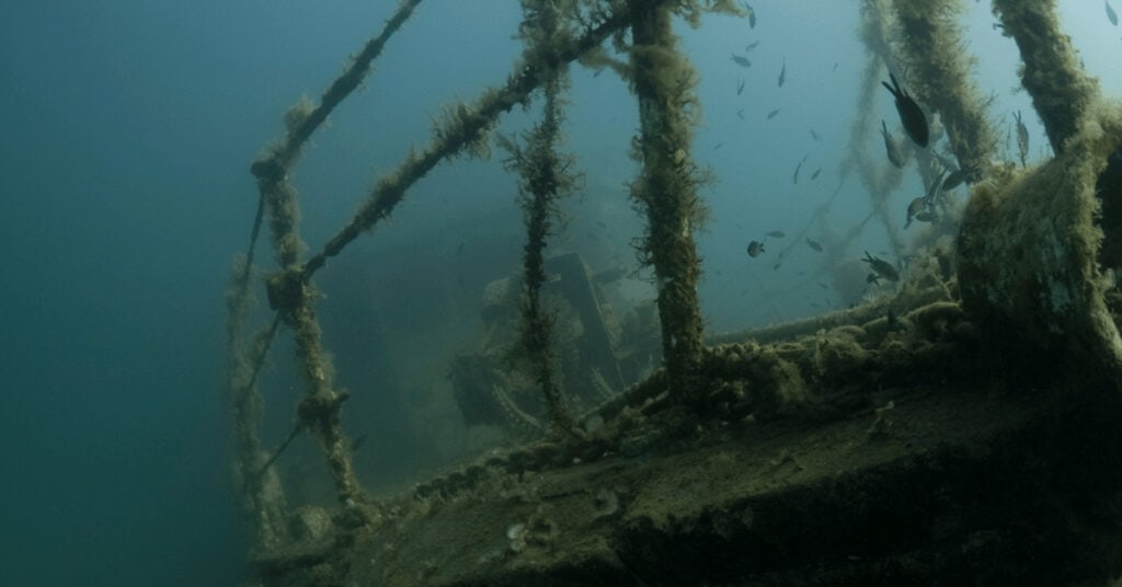 Coron Bay Shipwrecks