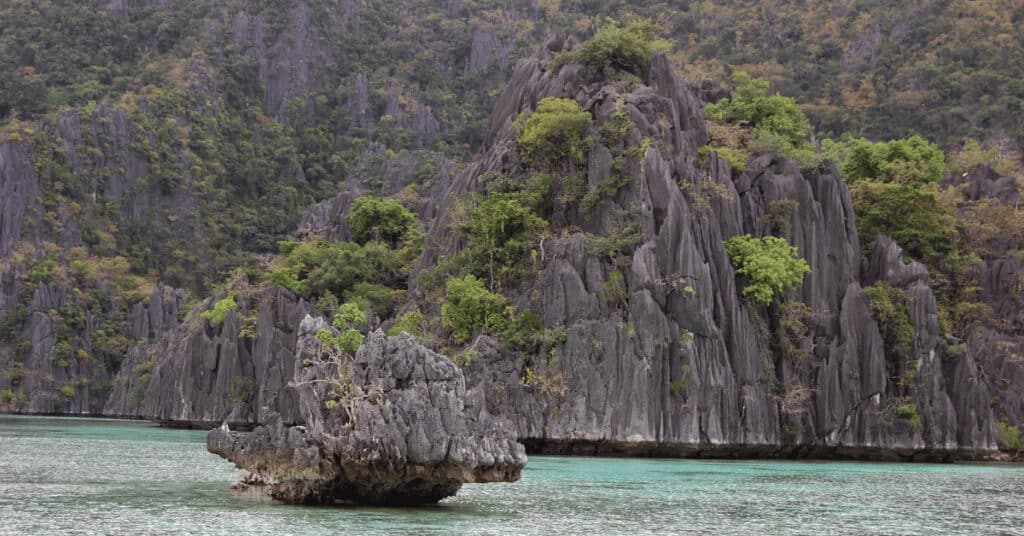 Coron Island Limestone Cliffs